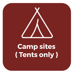 CAMP SITES TENTS ONLY ICON